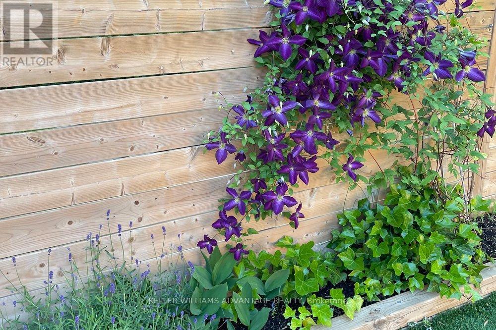 554 Balliol Street, Toronto, Ontario  M4S 1E5 - Photo 49 - C12947352