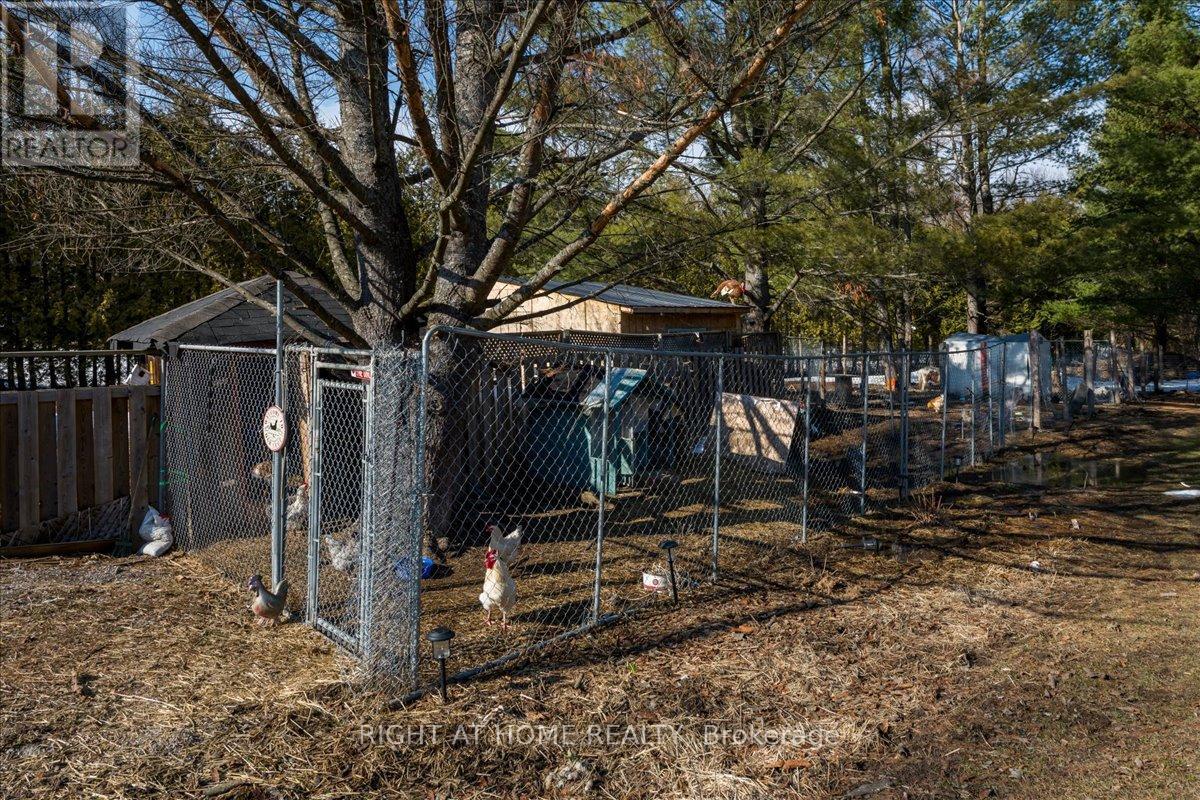 177 Medonte 2 Side Road, Oro-Medonte, Ontario  L0K 1E0 - Photo 25 - S12947570
