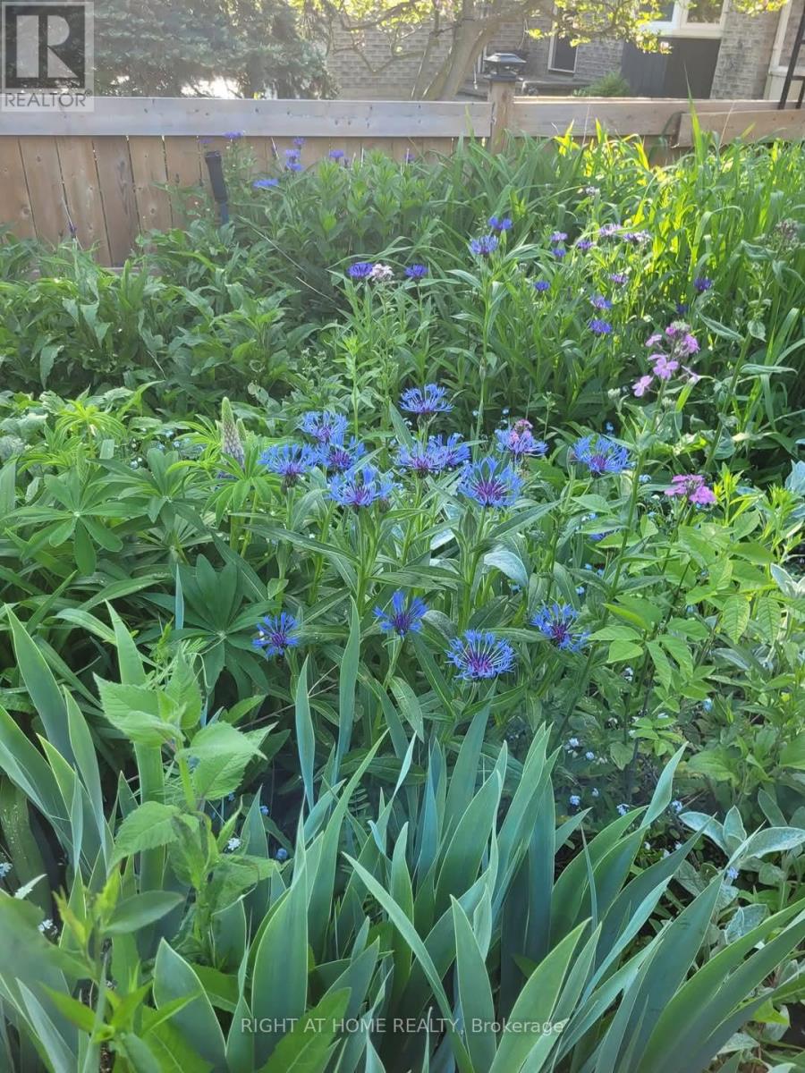 177 Medonte 2 Side Road, Oro-Medonte, Ontario  L0K 1E0 - Photo 41 - S12947570