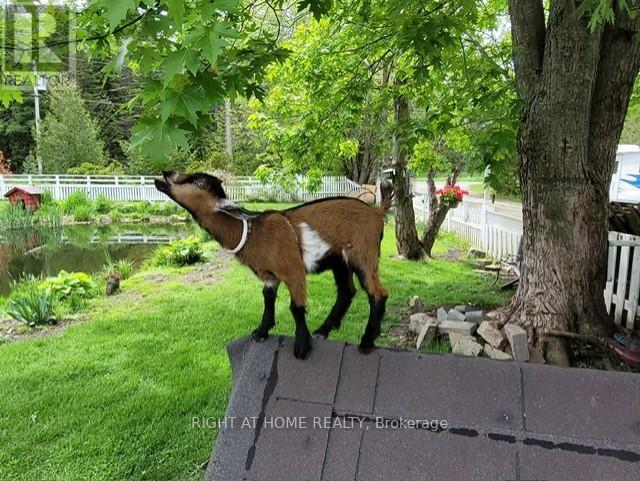 177 Medonte 2 Side Road, Oro-Medonte, Ontario  L0K 1E0 - Photo 42 - S12947570