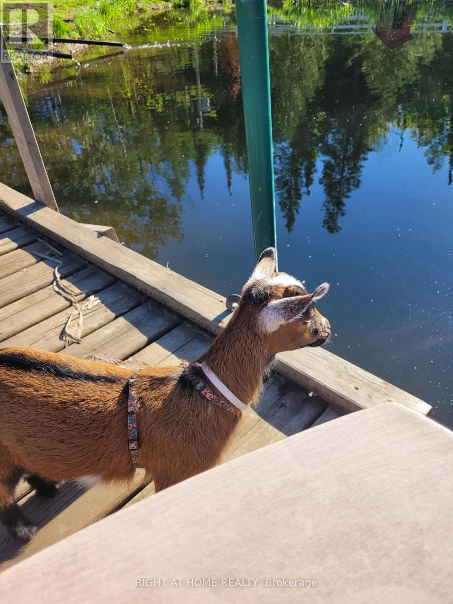 177 Medonte 2 Side Road, Oro-Medonte, Ontario  L0K 1E0 - Photo 43 - S12947570