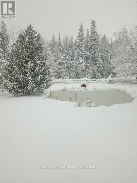 177 Medonte 2 Side Road, Oro-Medonte, Ontario  L0K 1E0 - Photo 44 - S12947570