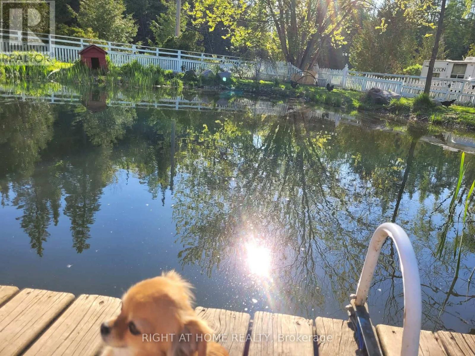 177 Medonte 2 Side Road, Oro-Medonte, Ontario  L0K 1E0 - Photo 45 - S12947570