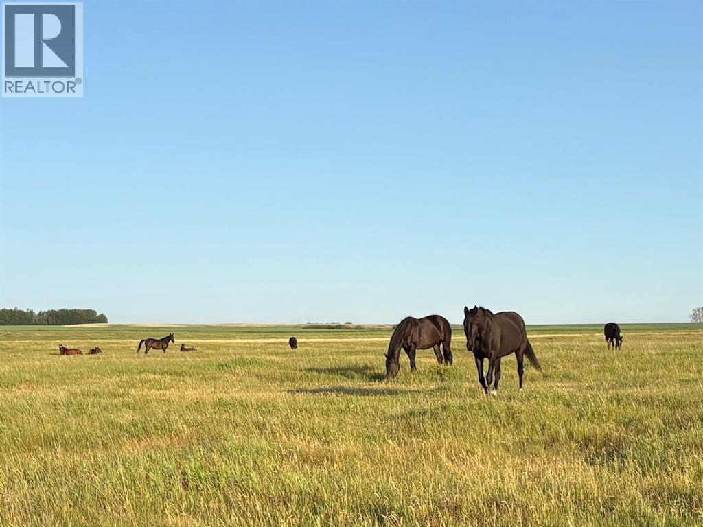 30032 Range Road 270, Rural Mountain View County, Alberta  T0M 0M0 - Photo 37 - A2288588