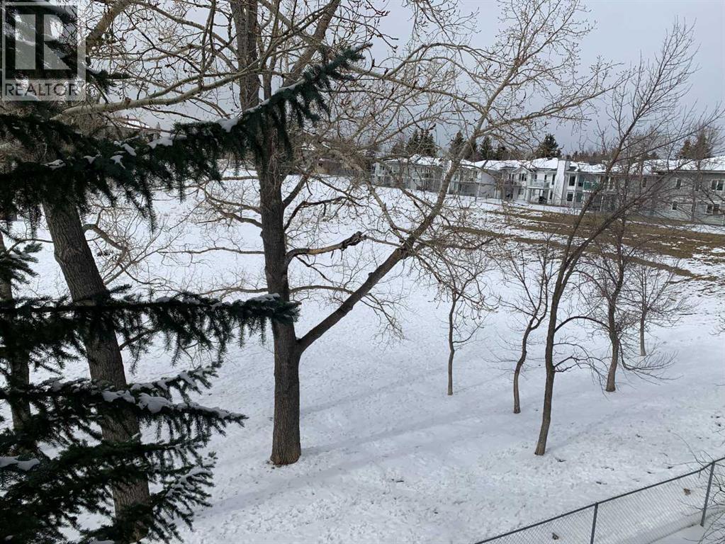 206, 3206 Hawksbrow Point NW, Calgary, Alberta  T3G 4C9 - Photo 43 - A2281989