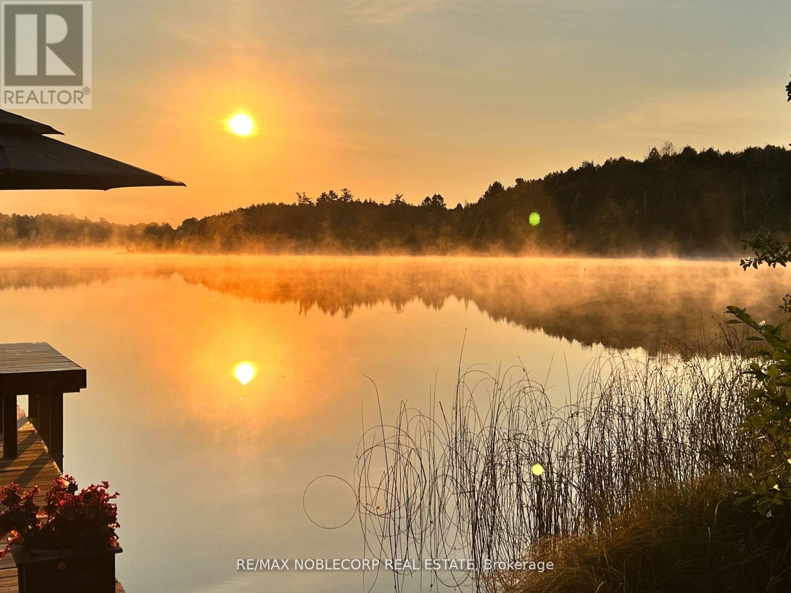 11201 Lake Ridge Road, Scugog, Ontario  L9L 1V7 - Photo 39 - E12947822