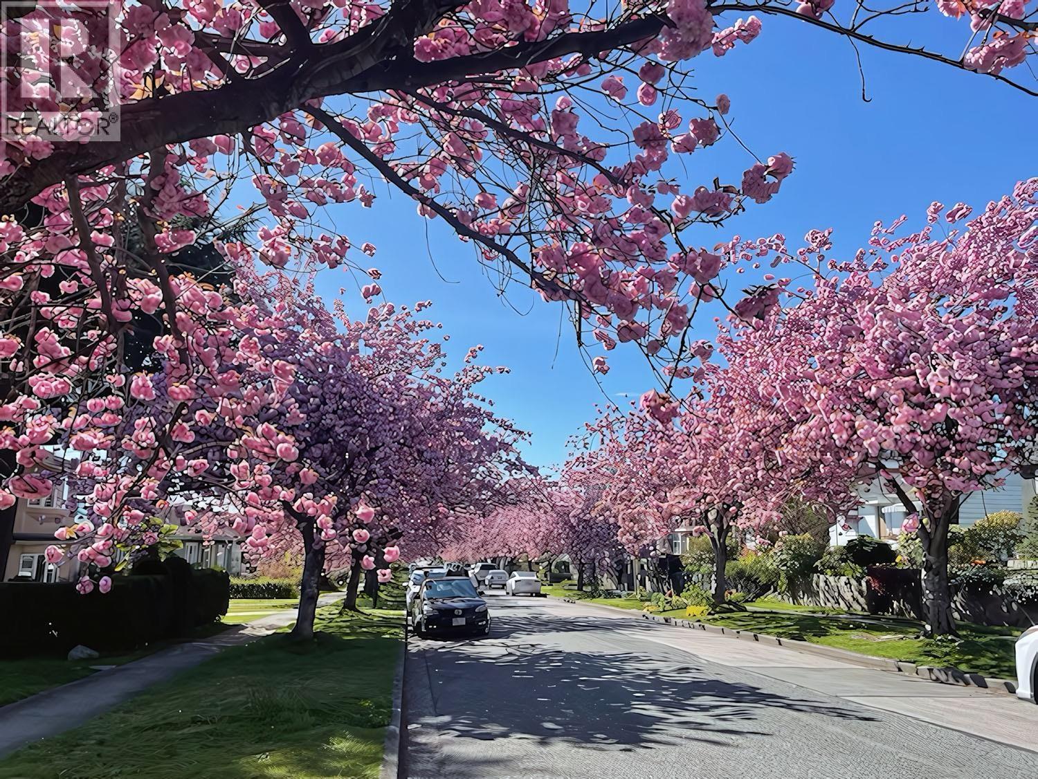 111 E 61st Avenue, Vancouver, British Columbia  V5X 2B3 - Photo 38 - R3106159