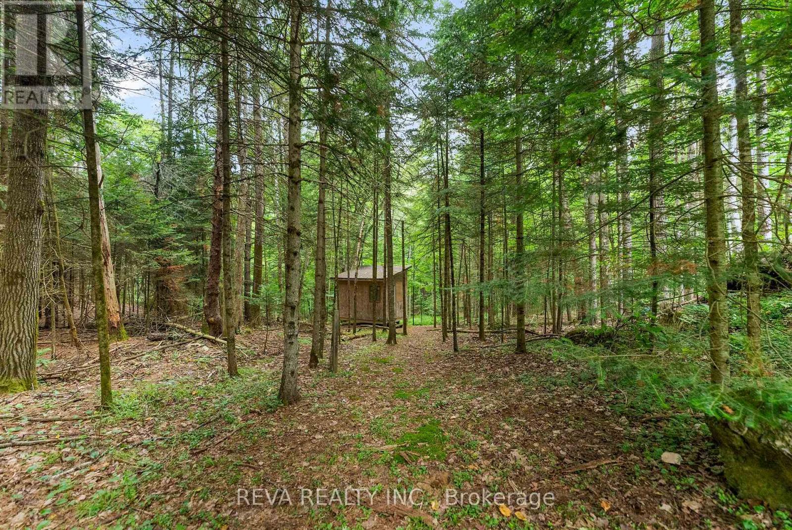 78 Bridge Street E, Bancroft, Ontario  K0L 1C0 - Photo 21 - X12948130