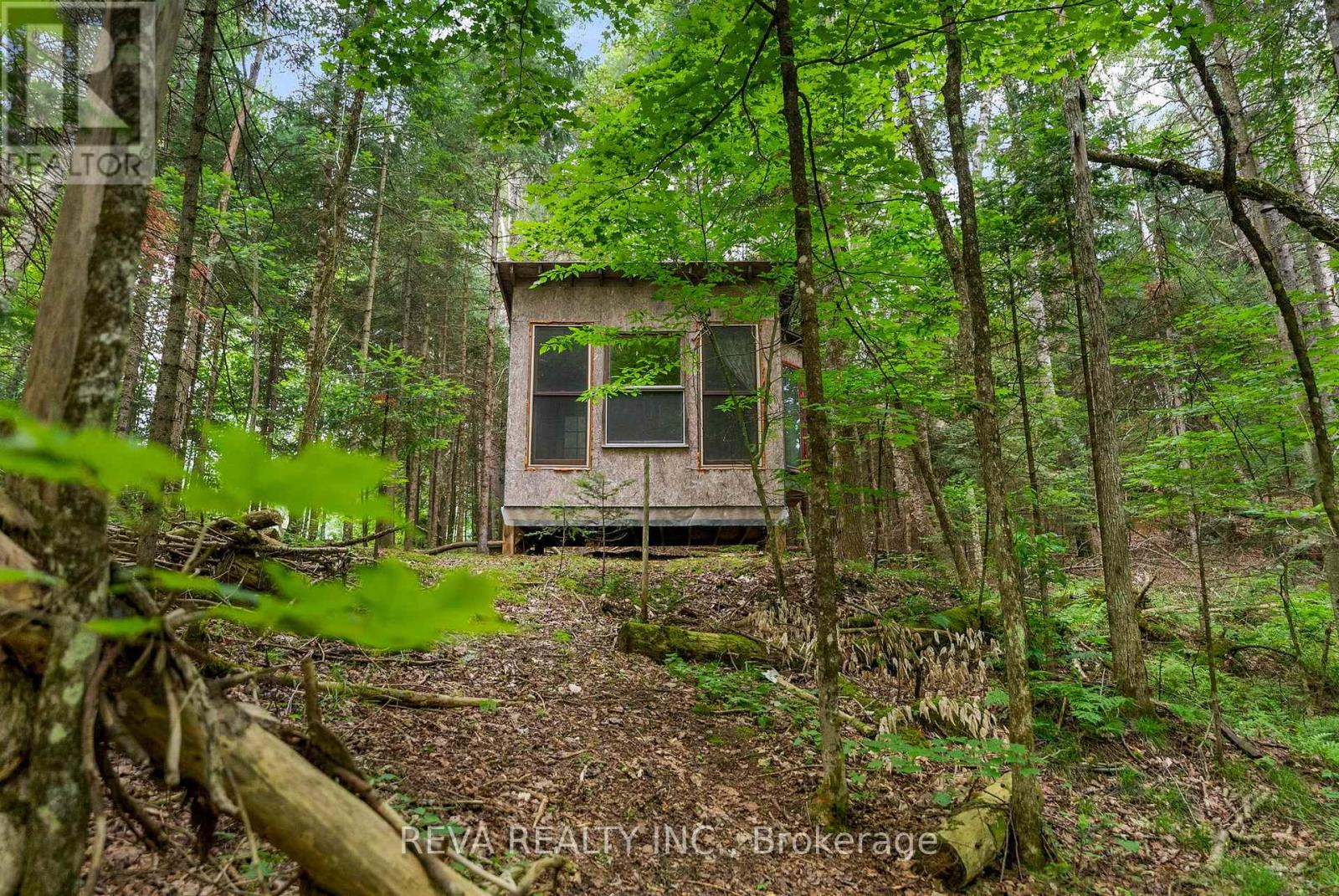 78 Bridge Street E, Bancroft, Ontario  K0L 1C0 - Photo 22 - X12948130