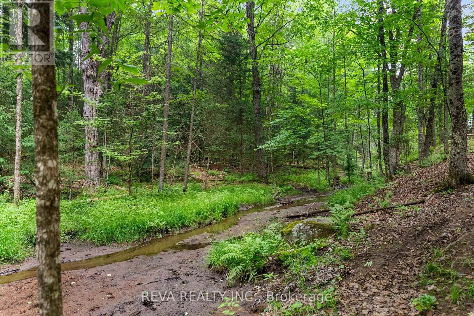 78 Bridge Street E, Bancroft, Ontario  K0L 1C0 - Photo 29 - X12948130