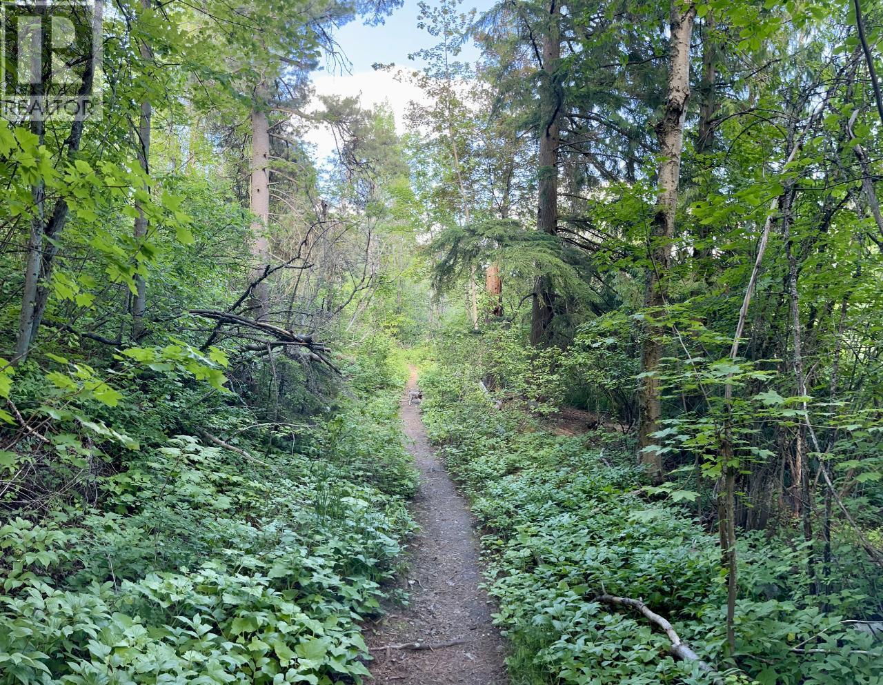 3B Highway Lot# 3, Rossland, British Columbia