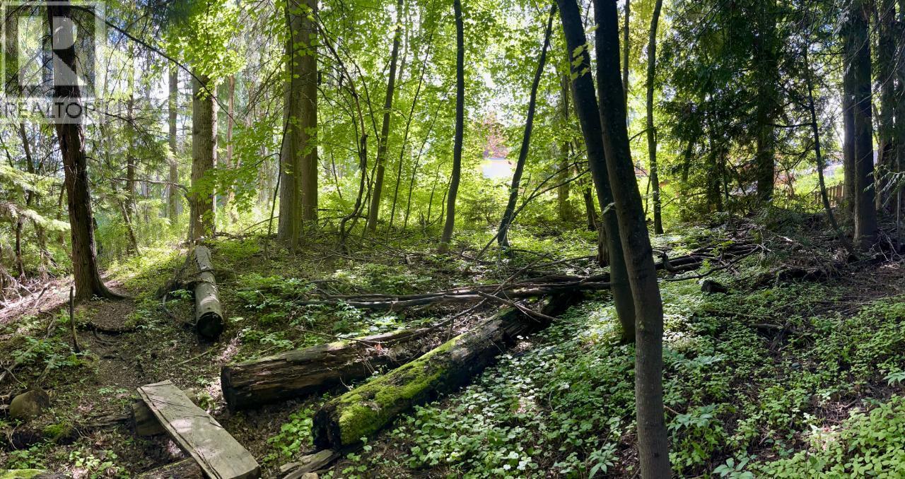 3b Highway Lot# 3, Rossland, British Columbia  V0G 1Y0 - Photo 23 - 10361542