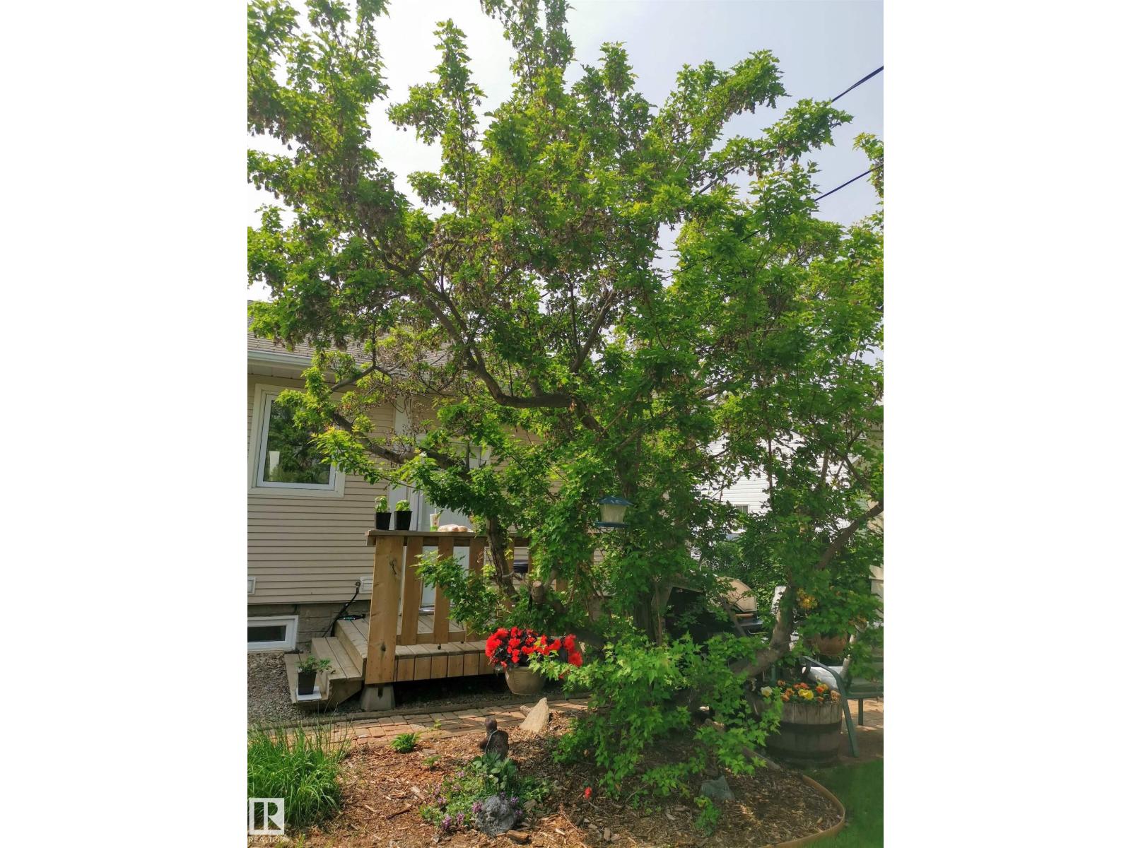 4414 46 Av, Leduc, Alberta  T9E 5V4 - Photo 47 - E4480133