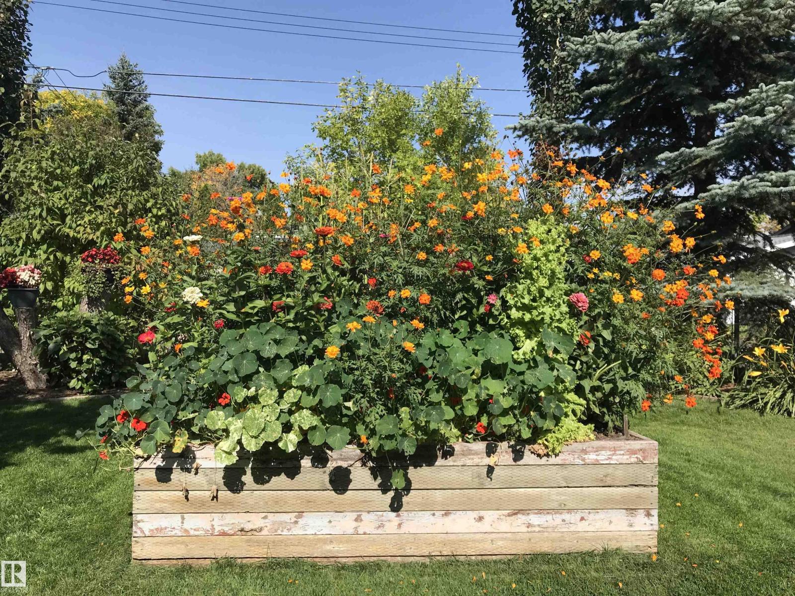 4414 46 Av, Leduc, Alberta  T9E 5V4 - Photo 45 - E4480133