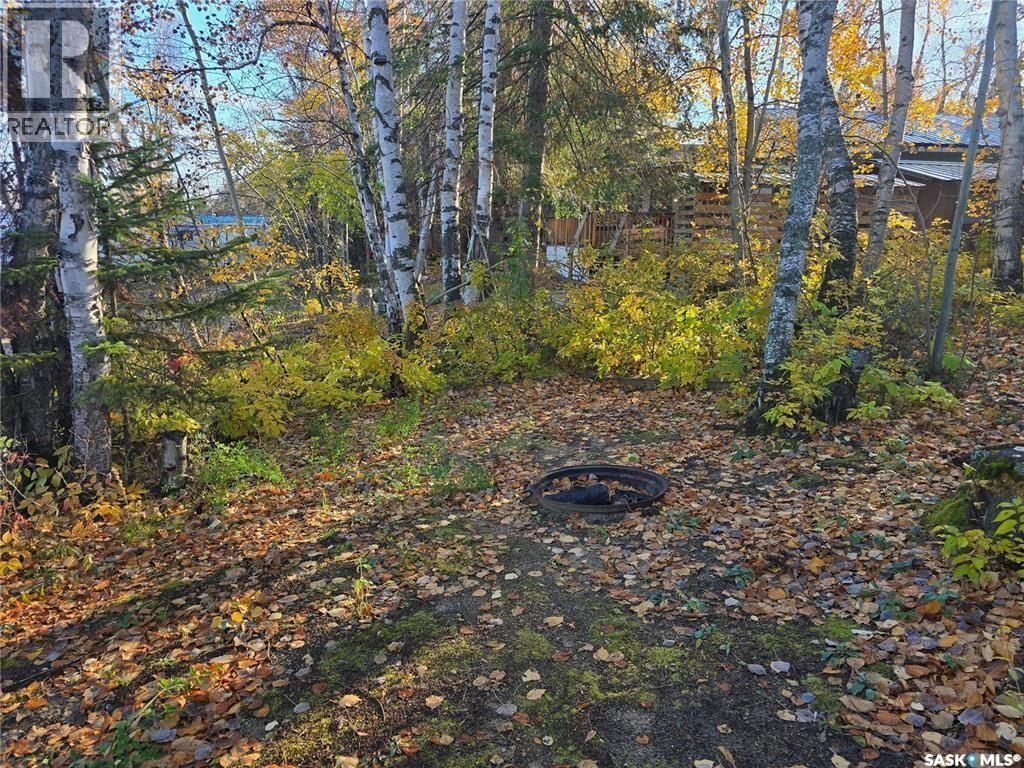 207 Pine Drive, Tobin Lake, Saskatchewan  S0E 1E0 - Photo 15 - SK031875