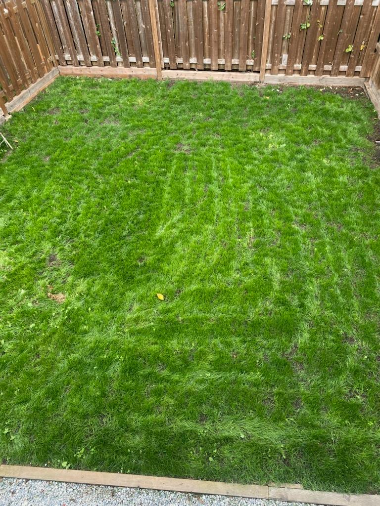 7662 125 Street, Surrey, British Columbia  V3W 7W4 - Photo 6 - R3106271