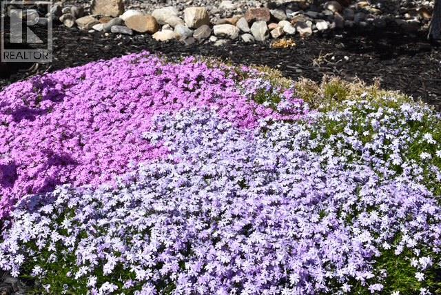 6148 Lipsett Avenue, Peachland, British Columbia  V0H 1X7 - Photo 73 - 10377250