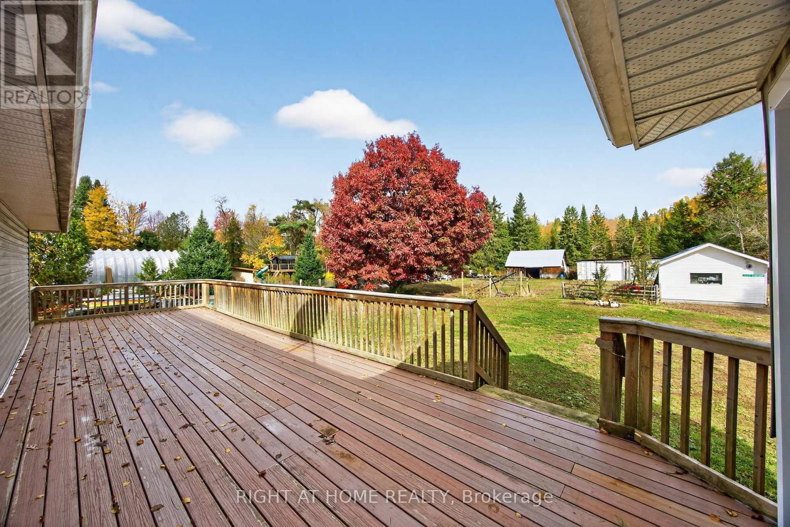 207 Scarlett Line, Oro-Medonte, Ontario  L0L 1V0 - Photo 34 - S12948330