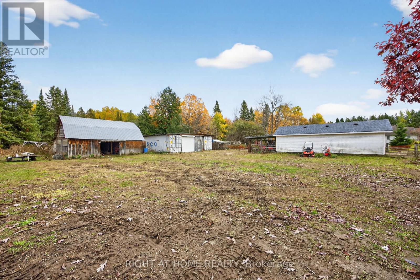 207 Scarlett Line, Oro-Medonte, Ontario  L0L 1V0 - Photo 36 - S12948330