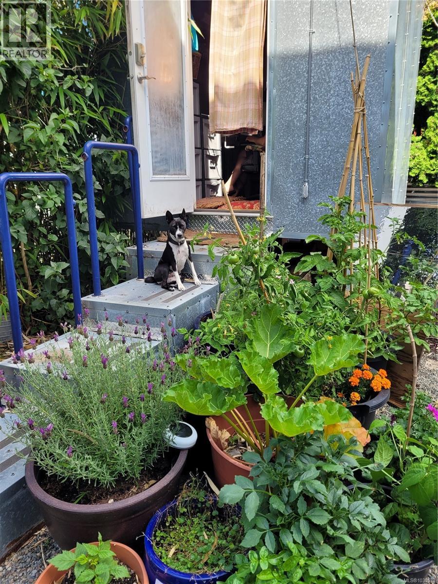 3112 Steele St, Victoria, British Columbia  V8Z 3N8 - Photo 83 - 1030533