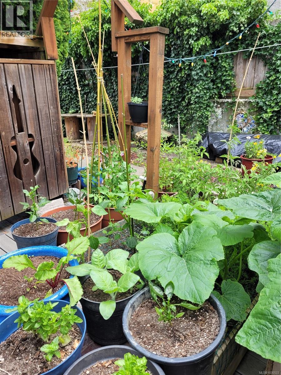 3112 Steele St, Victoria, British Columbia  V8Z 3N8 - Photo 76 - 1030533