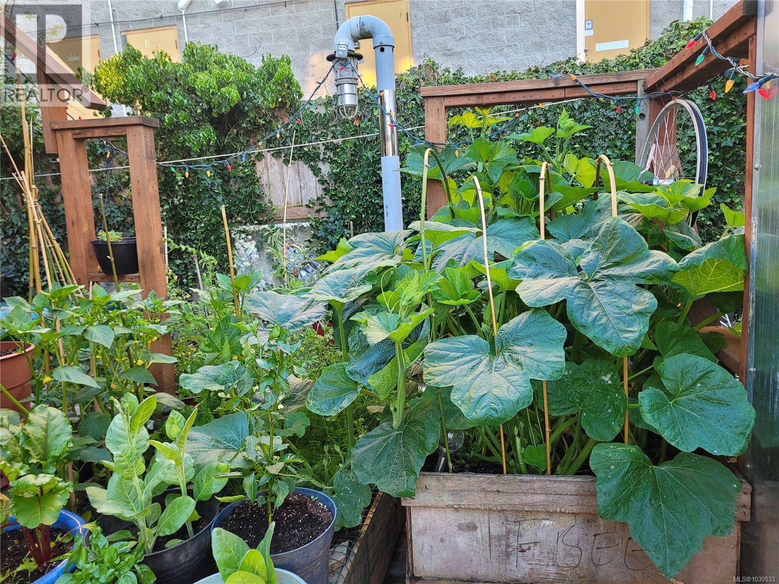 3112 Steele St, Victoria, British Columbia  V8Z 3N8 - Photo 80 - 1030533