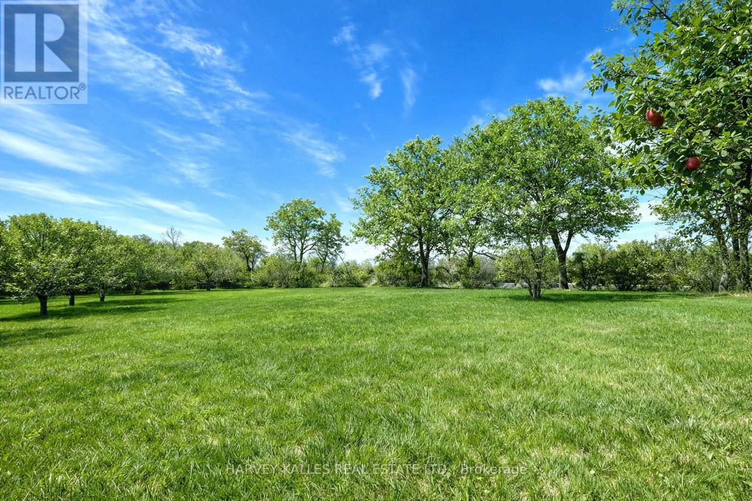 11 Melville Road, Prince Edward County, Ontario  K0K 1T0 - Photo 11 - X12941694