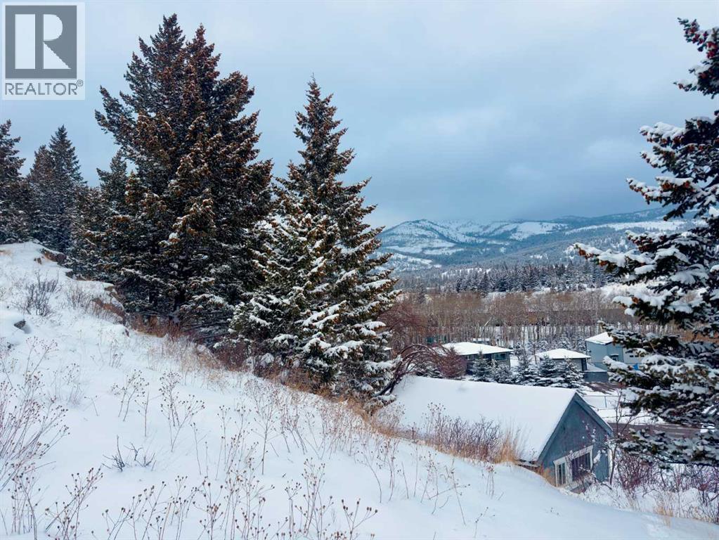 20970 7 Avenue, Bellevue, Alberta  T0K 0C0 - Photo 10 - A2298428