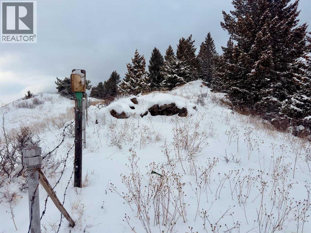 20970 7 Avenue, Bellevue, Alberta  T0K 0C0 - Photo 11 - A2298428