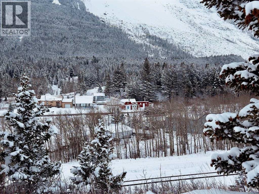 20970 7 Avenue, Bellevue, Alberta  T0K 0C0 - Photo 2 - A2298428