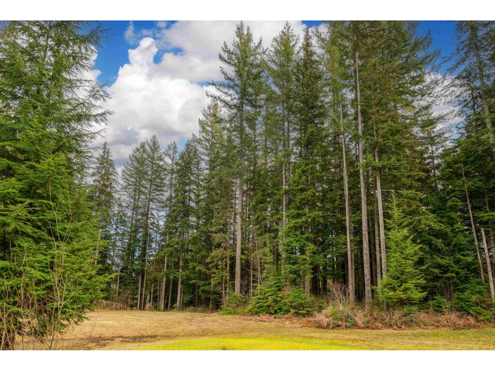 12236 Powell Street, Mission, British Columbia  V4S 1C1 - Photo 10 - R3106231