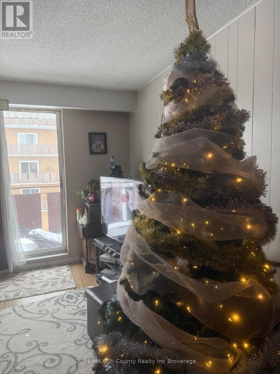 306 - 191 Lisgar Avenue, Tillsonburg, Ontario  N4G 3L5 - Photo 3 - X12612110