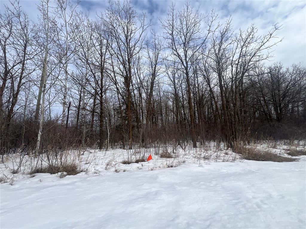 0 Marquee Lane, Richer, Manitoba  R0E 1S0 - Photo 0 - 202606074