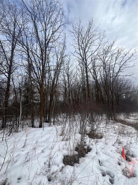 0 Marquee Lane, Richer, Manitoba  R0E 1S0 - Photo 1 - 202606074