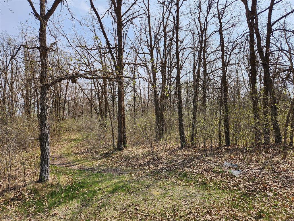 0 Marquee Lane, Richer, Manitoba  R0E 1S0 - Photo 4 - 202606074