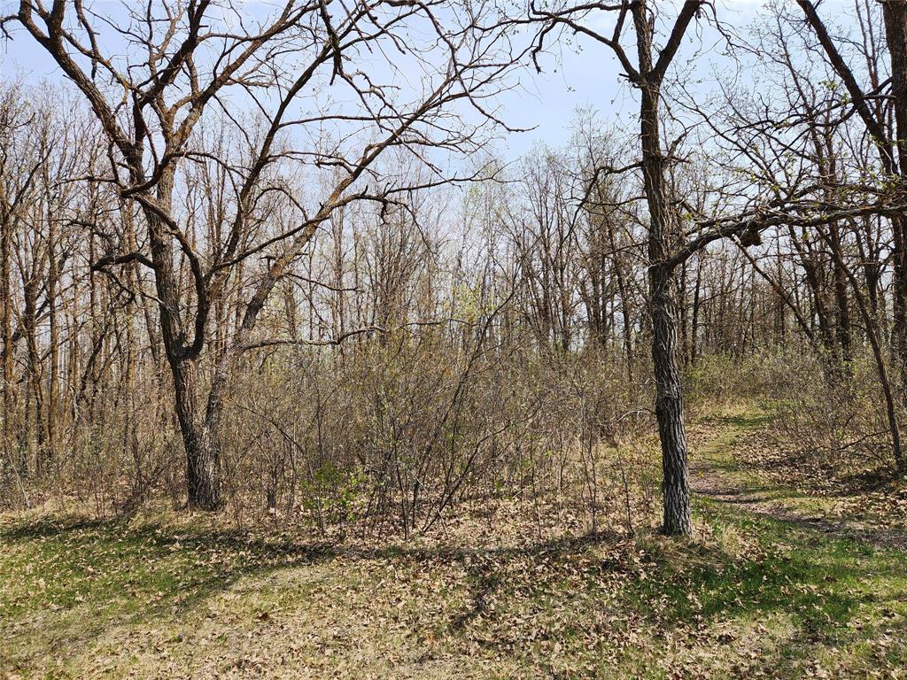 0 Marquee Lane, Richer, Manitoba  R0E 1S0 - Photo 5 - 202606074