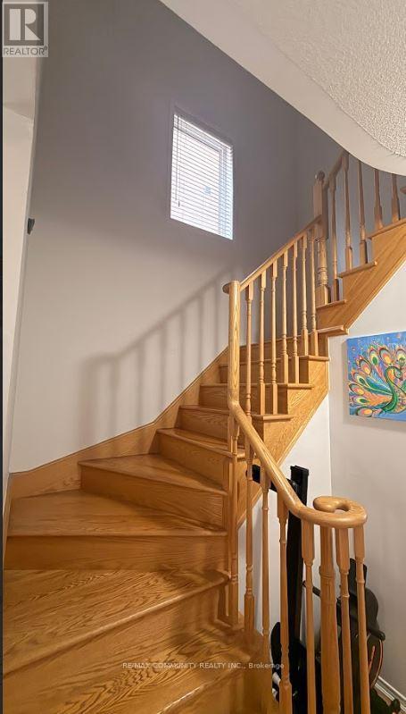 Main - 46 Delambray Street, Brampton, Ontario  K6H 5R6 - Photo 3 - W12946736