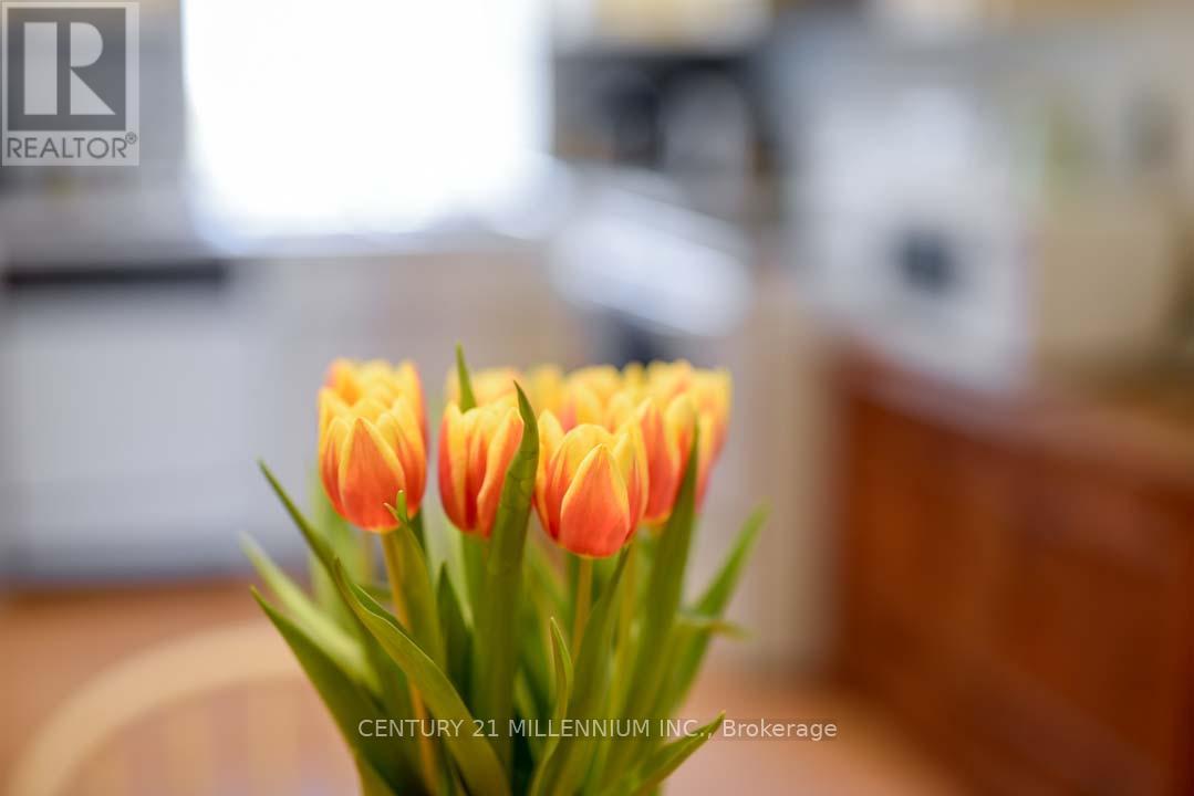 1380 Queen Street W, Caledon, Ontario  L7K 0C3 - Photo 16 - W12948806