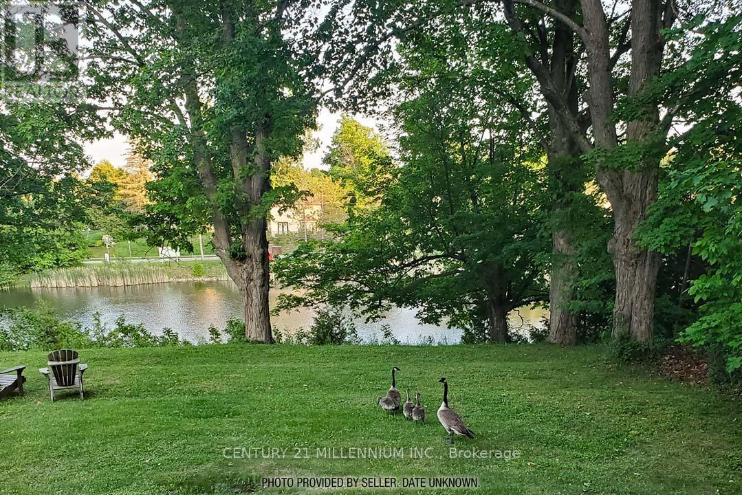 1380 Queen Street W, Caledon, Ontario  L7K 0C3 - Photo 37 - W12948806