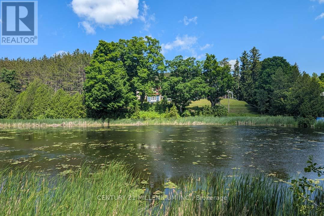 1380 Queen Street W, Caledon, Ontario  L7K 0C3 - Photo 4 - W12948806