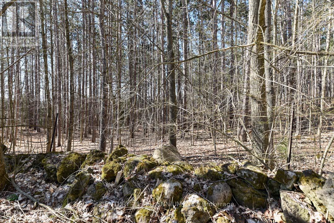 1380 Queen Street W, Caledon, Ontario  L7K 0C3 - Photo 40 - W12948806