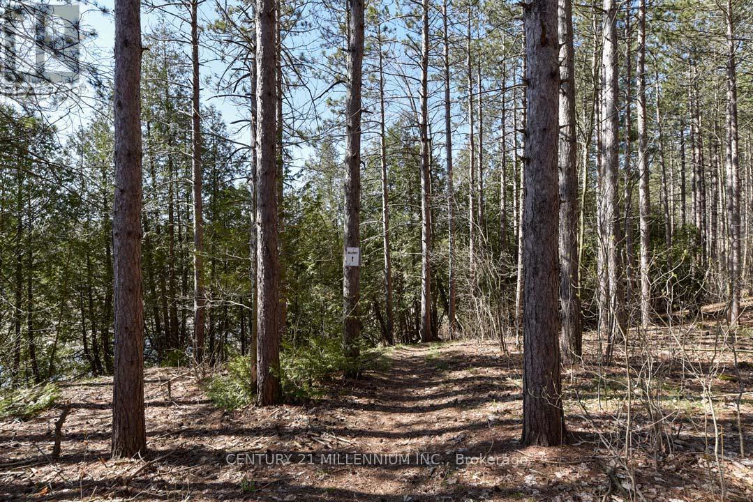 1380 Queen Street W, Caledon, Ontario  L7K 0C3 - Photo 41 - W12948806