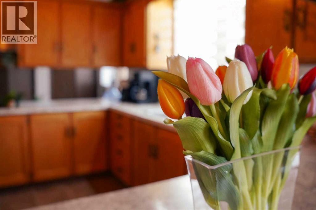 245 5 Avenue N, Vauxhall, Alberta  T0K 2K0 - Photo 12 - A2296752