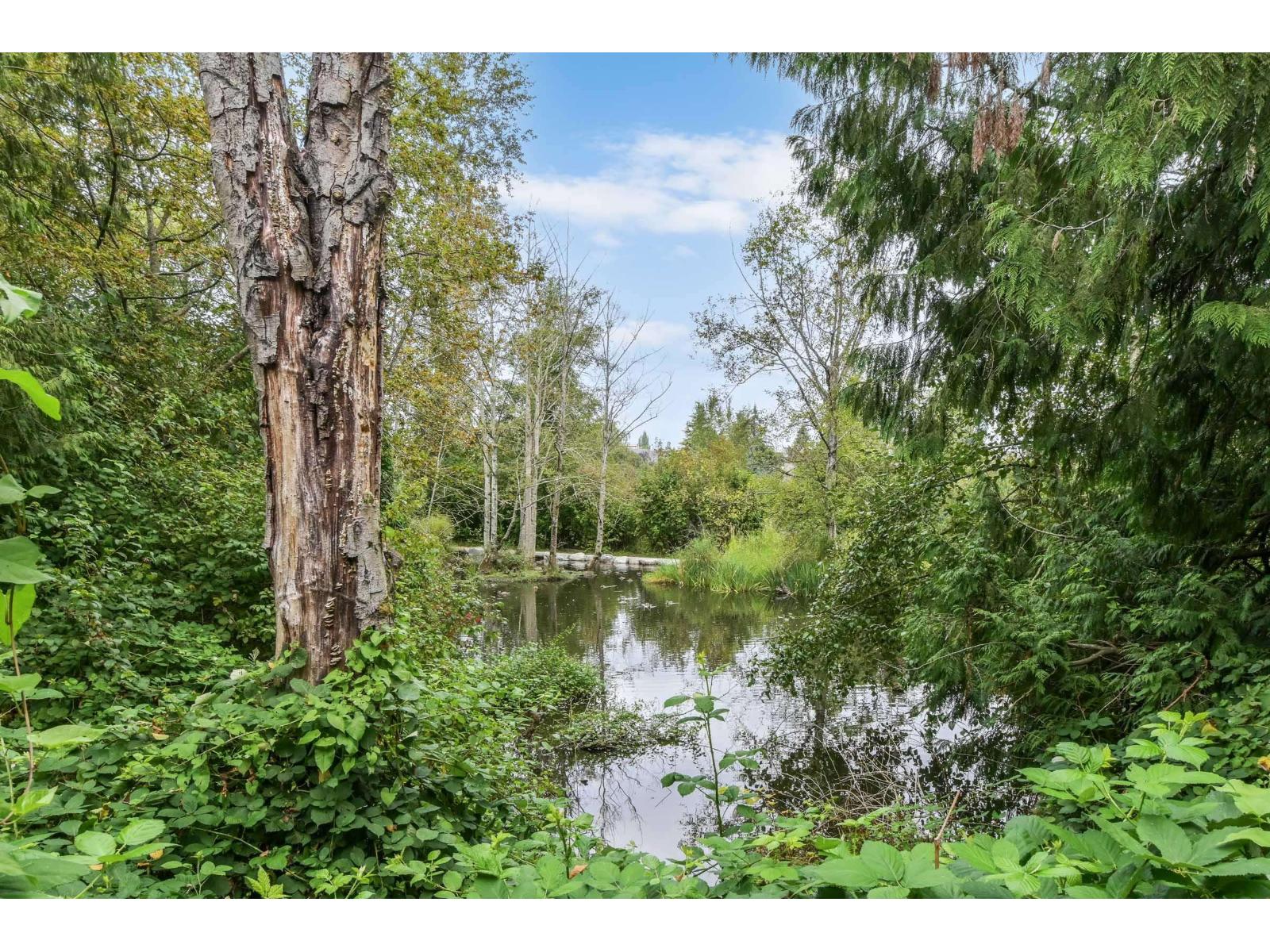 105 5074 201a Street, Langley, British Columbia  V3A 5M8 - Photo 34 - R3105221