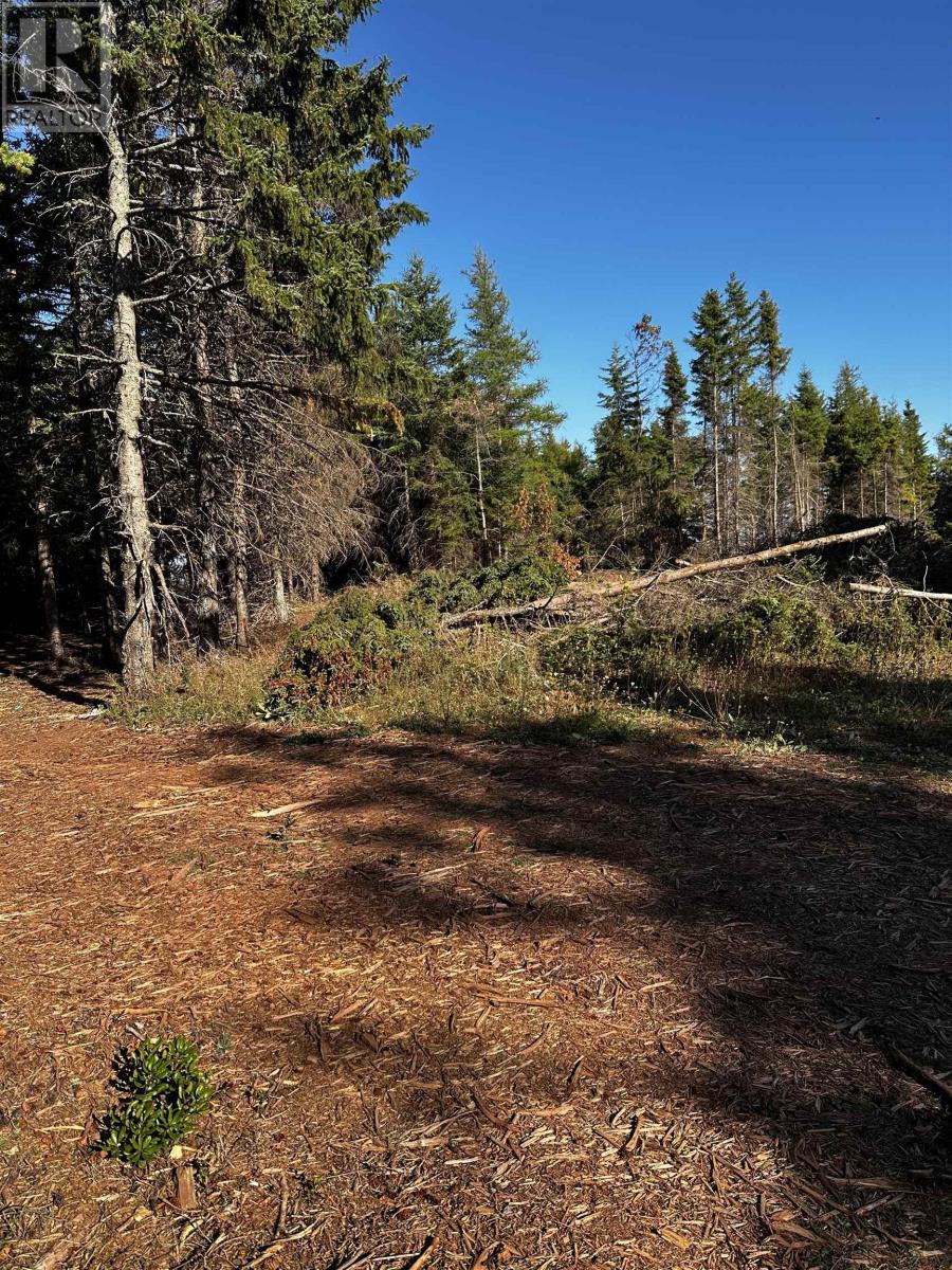 Lot 1 Dune Road, St. Felix, Prince Edward Island  C0B 2B0 - Photo 8 - 202525361