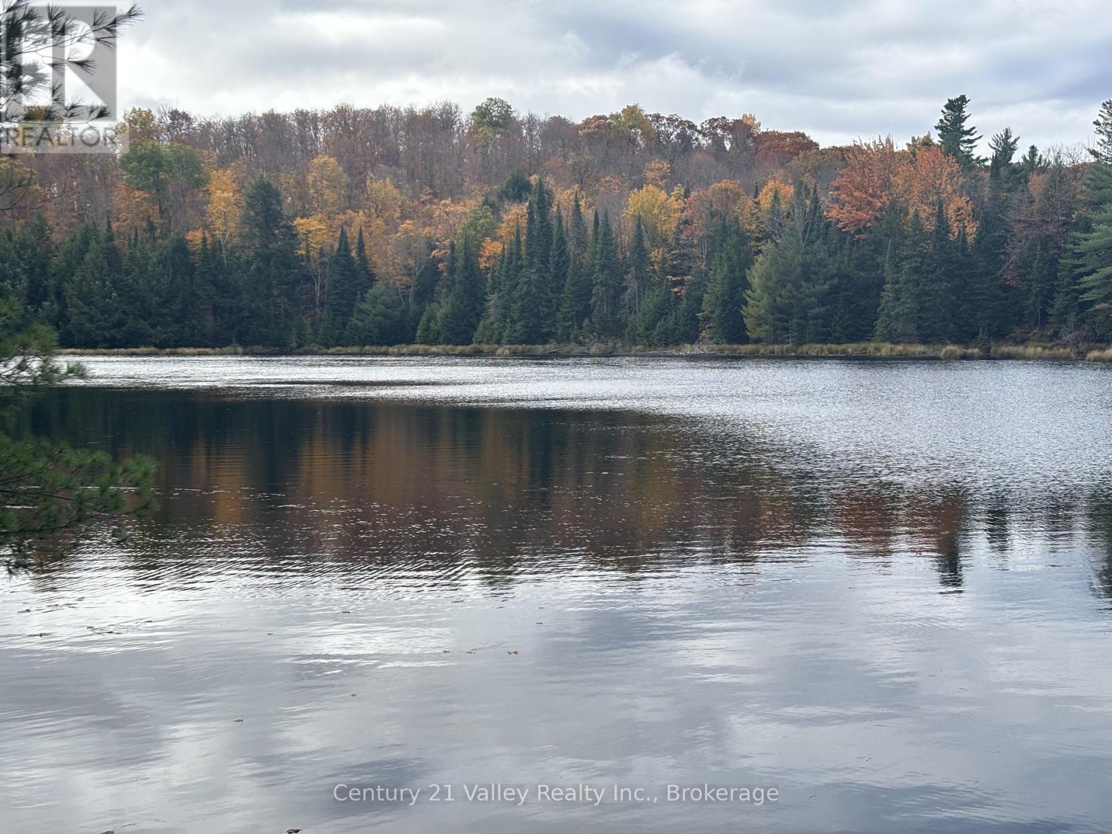 170 Shavens Lake Road, Bonnechere Valley, Ontario  K0J 1T0 - Photo 10 - X12949094