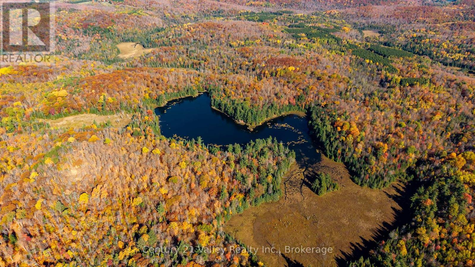 170 Shavens Lake Road, Bonnechere Valley, Ontario  K0J 1T0 - Photo 11 - X12949094
