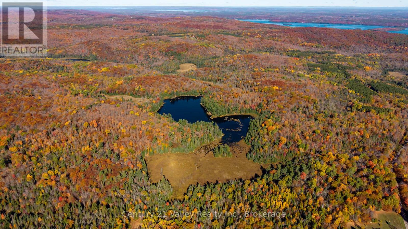 170 Shavens Lake Road, Bonnechere Valley, Ontario  K0J 1T0 - Photo 12 - X12949094