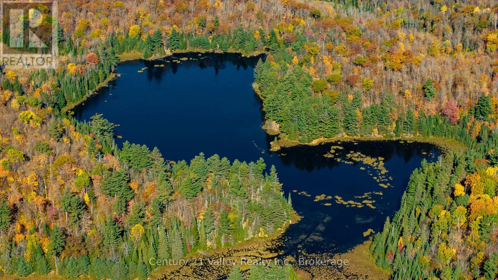170 Shavens Lake Road, Bonnechere Valley, Ontario  K0J 1T0 - Photo 13 - X12949094