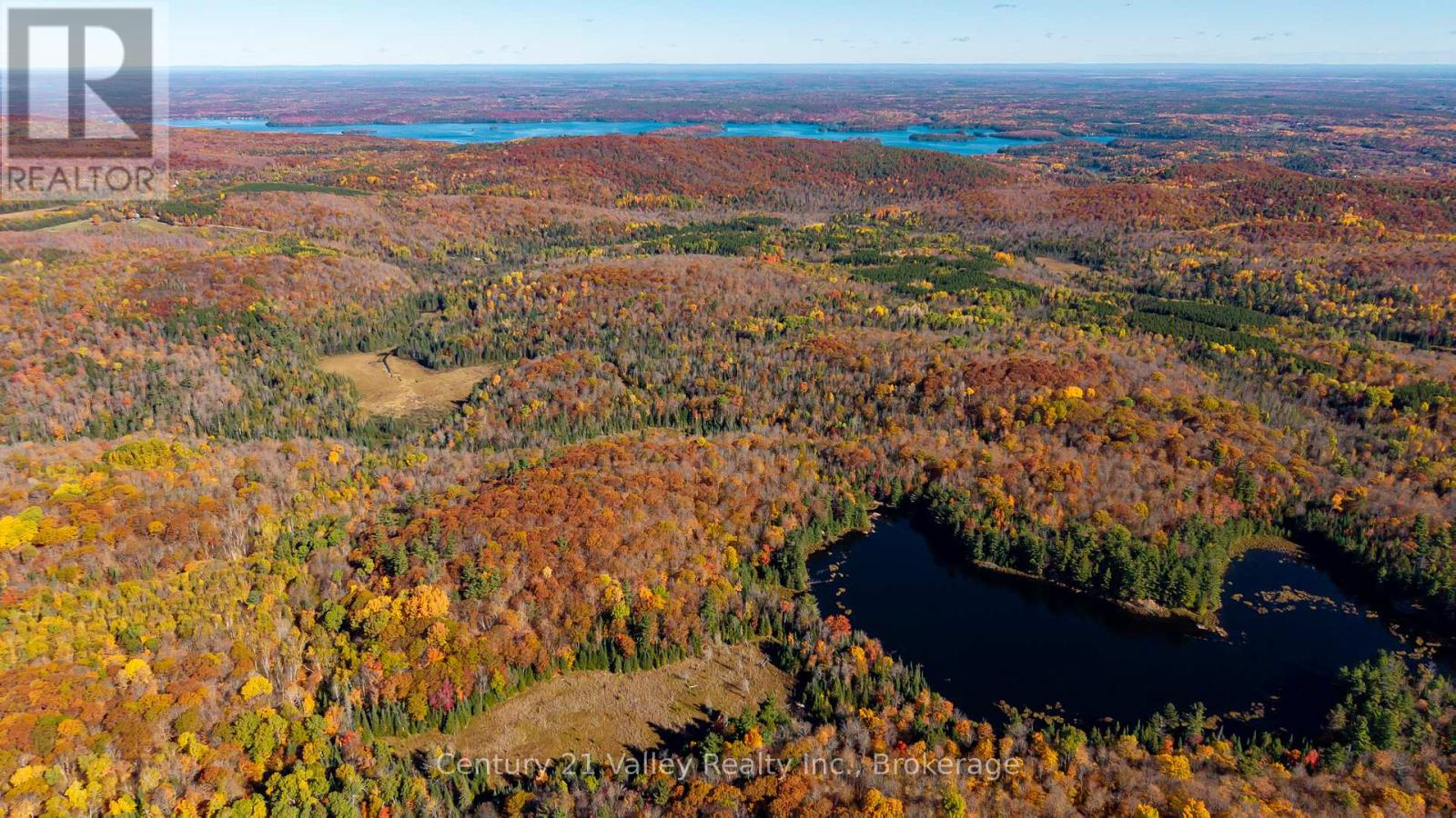 170 Shavens Lake Road, Bonnechere Valley, Ontario  K0J 1T0 - Photo 14 - X12949094